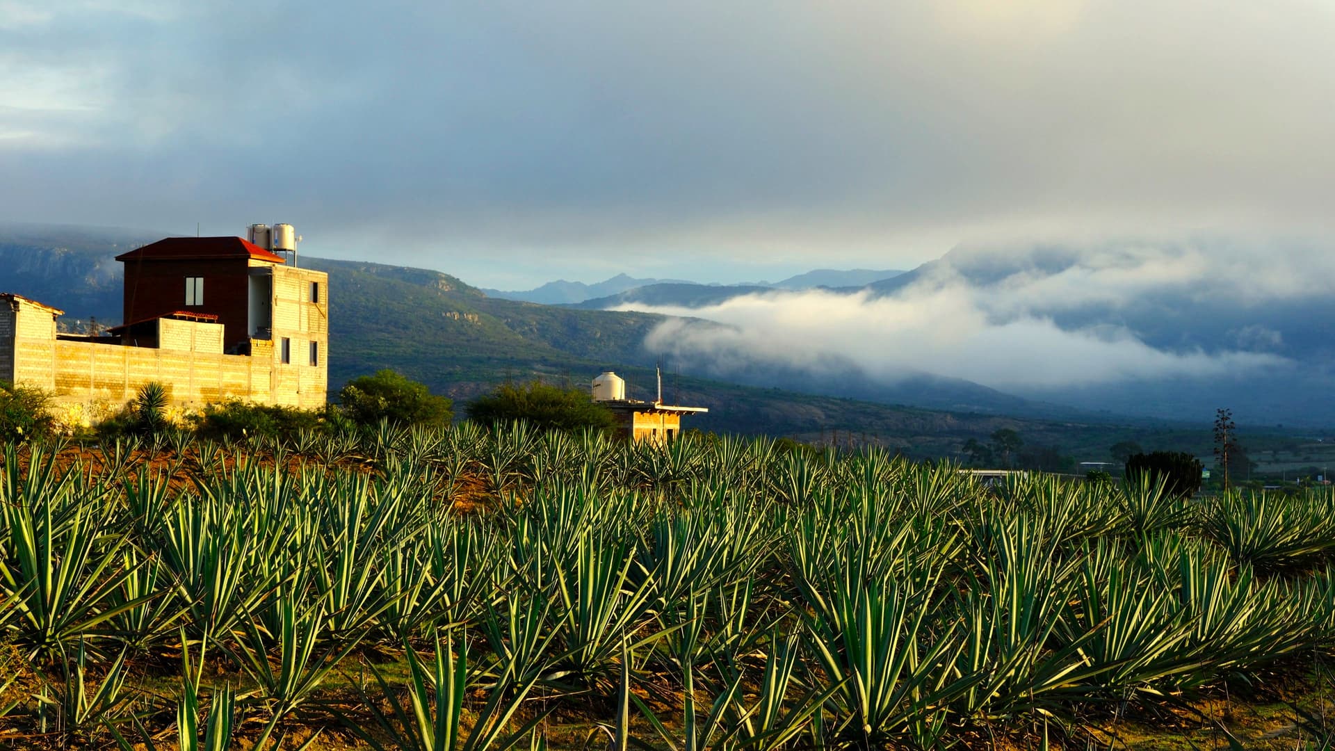 Oaxaca et sud indigène